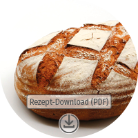 Download Button Bio Brot Rezept als PDF